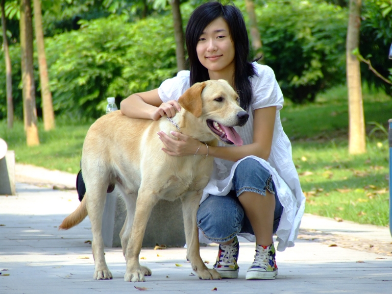 风中的绿叶的第一张照片--包头相亲服务中心