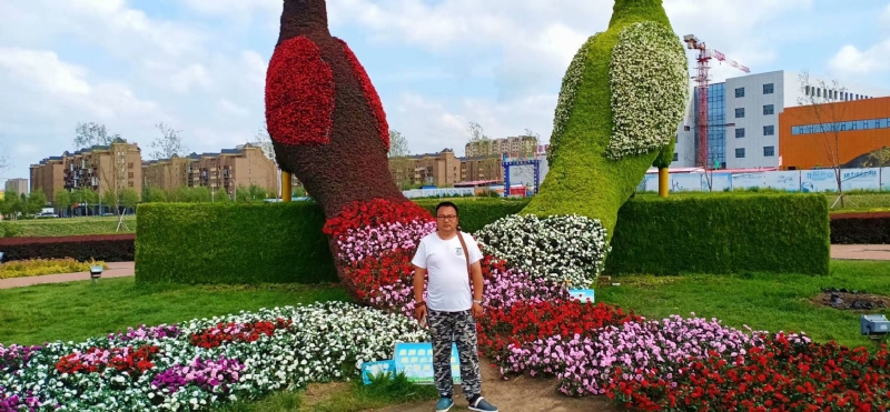 尘埃的第一张照片--包头相亲服务中心