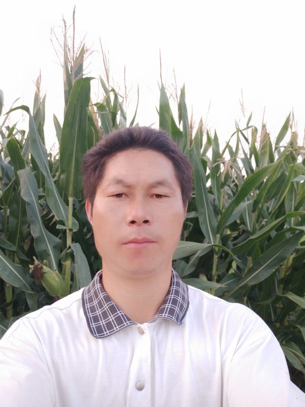 四海游龙的第二张照片--包头相亲服务中心