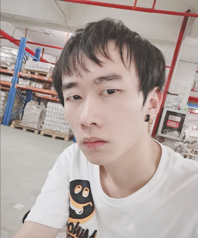 巷子里的猫的第一张照片--包头相亲服务中心