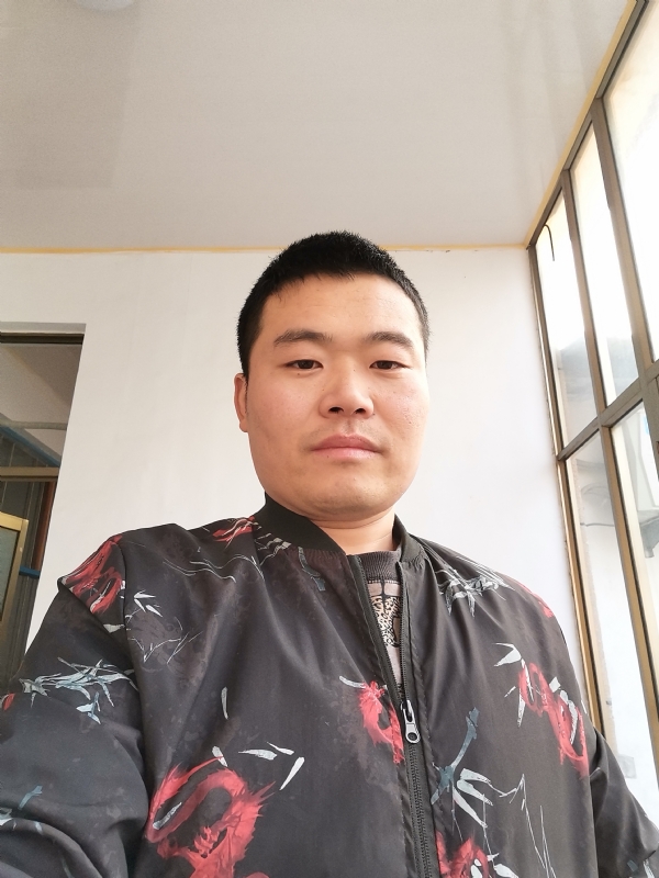 会飞的猪的第一张照片--包头相亲服务中心