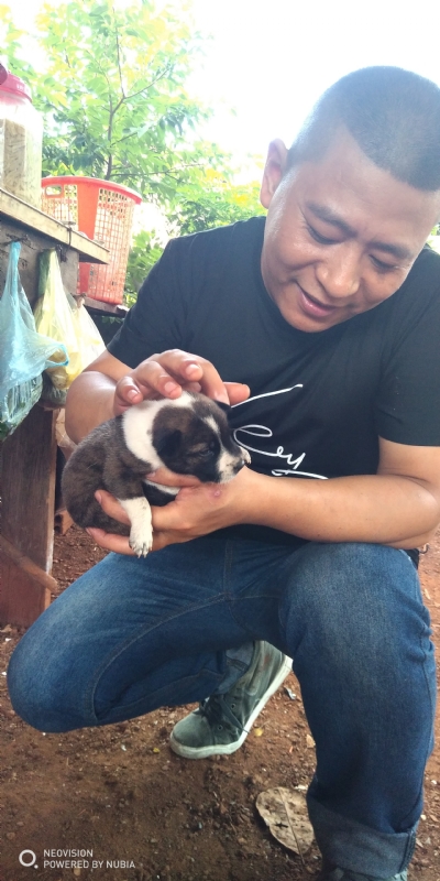 深圳相亲的第一张照片--包头相亲服务中心