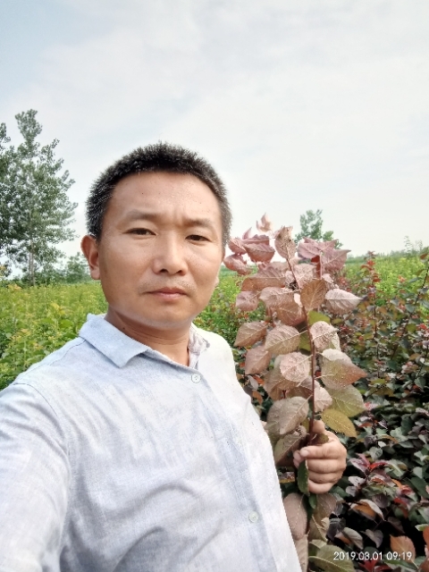 孩子爸的第一张照片--包头相亲服务中心