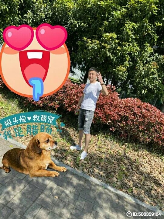 我若不坚强谁替我勇敢的第一张照片--包头相亲服务中心