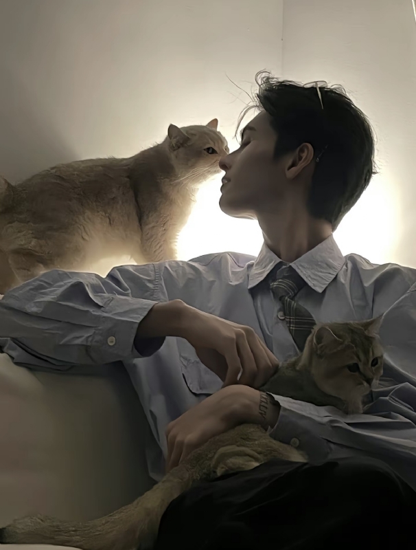 怪猫的第一张照片--包头相亲服务中心