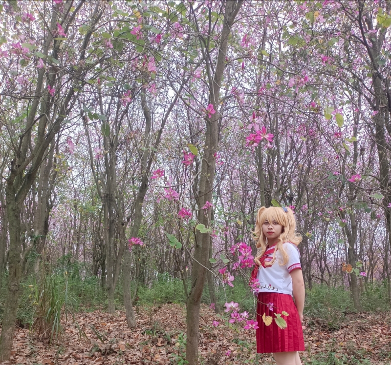 暮秋的第四张照片--包头相亲服务中心